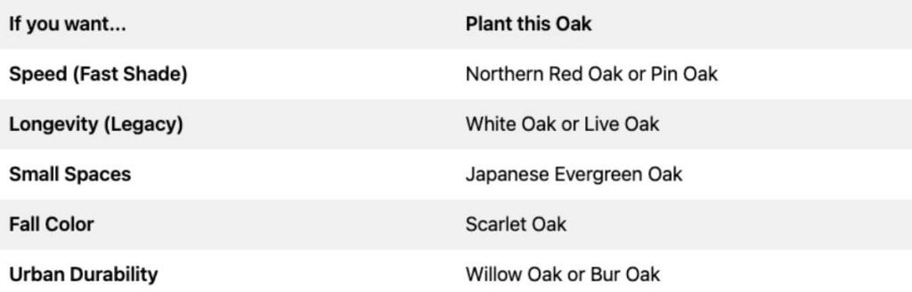 tabele how to plant this Oak